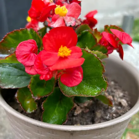 Apartment Urban Getaway *