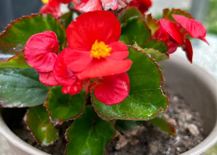 Apartment Urban Getaway *